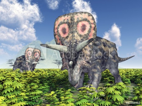 Bild på Dinosaur Torosaurus